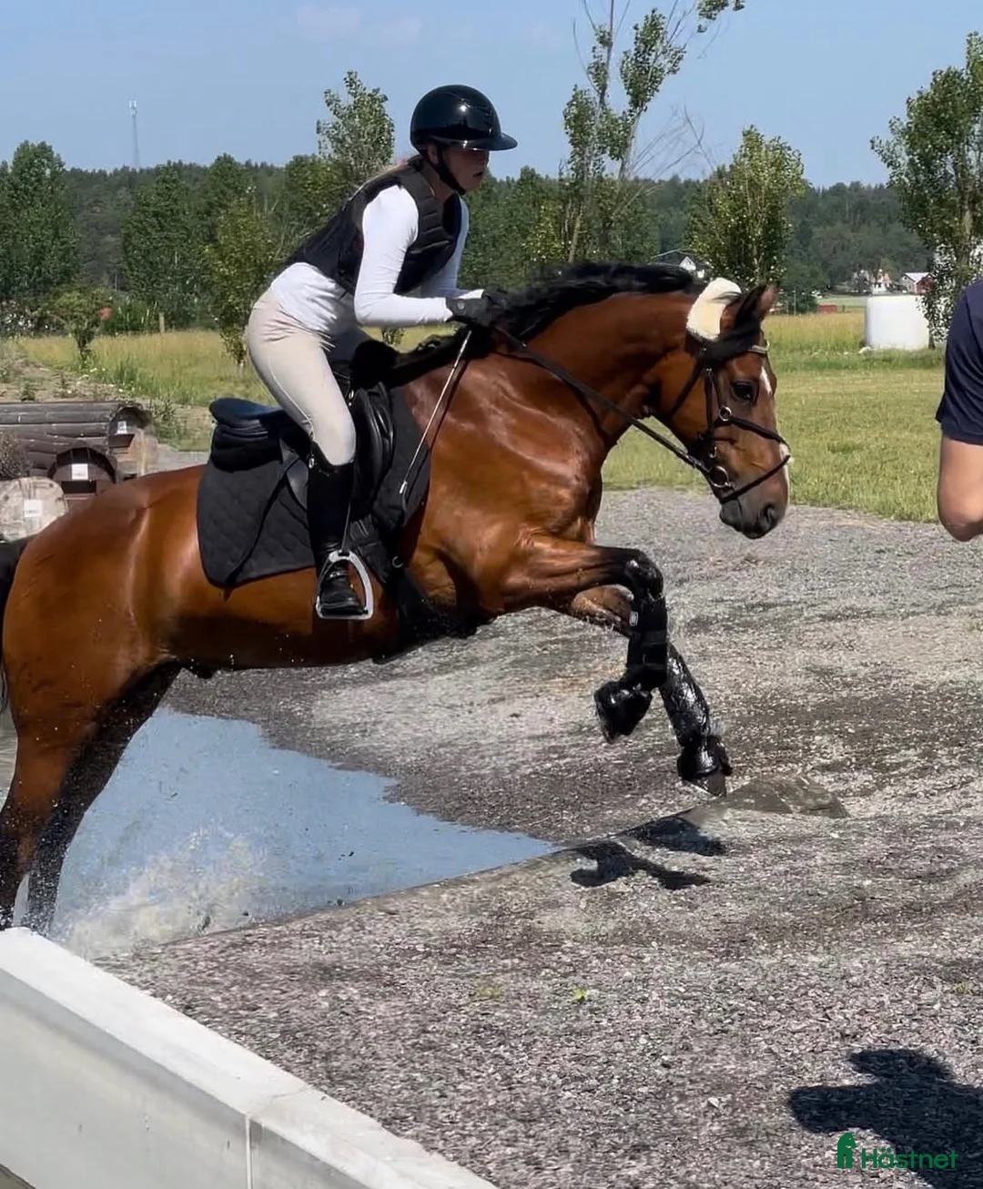 Hoppning hästar sökes: Söker hopphäst och bästa vän  - Annons 1