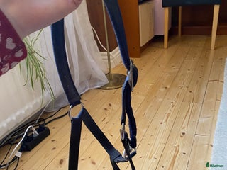 Övrig Hästutrustning hästutrustning till salu: Grimma i Mölltorp - Annons 22