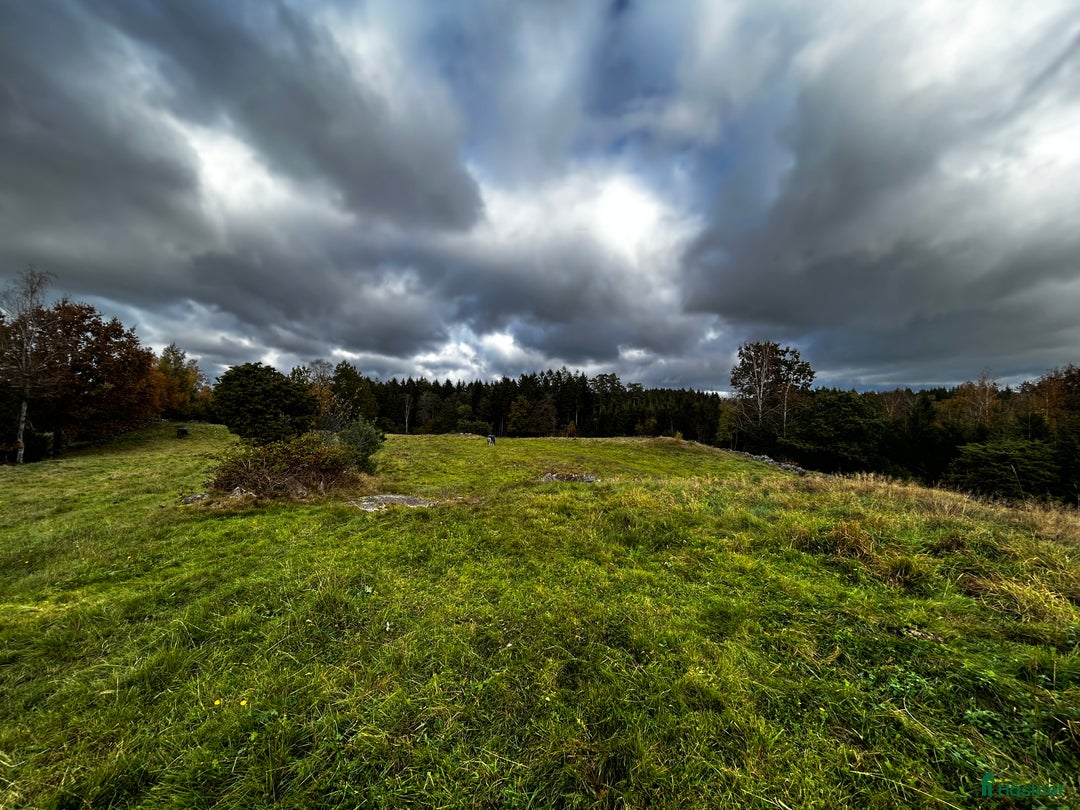  stallplats finnes: Lösdrift plats finnes i Varberg - Annons 3