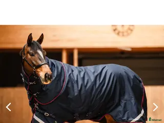 Täcken hästutrustning Tyfon de lux - Annons 3