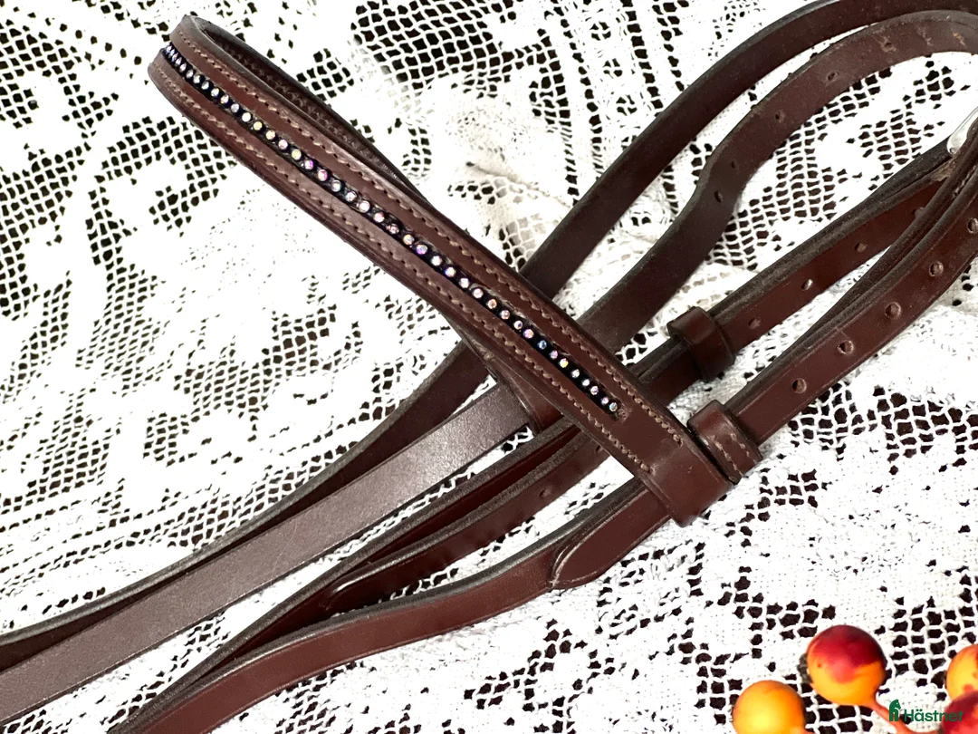 Träns hästutrustning till salu: Islandsträns - Annons 2