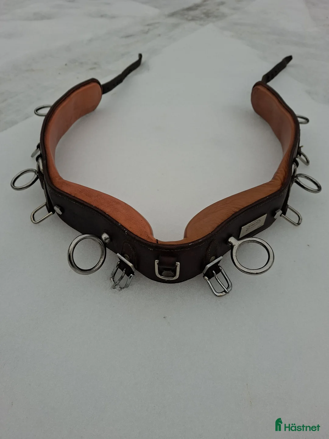 Övrig Hästutrustning hästutrustning till salu: Tömkörningsgjord  i Forsheda - Annons 3