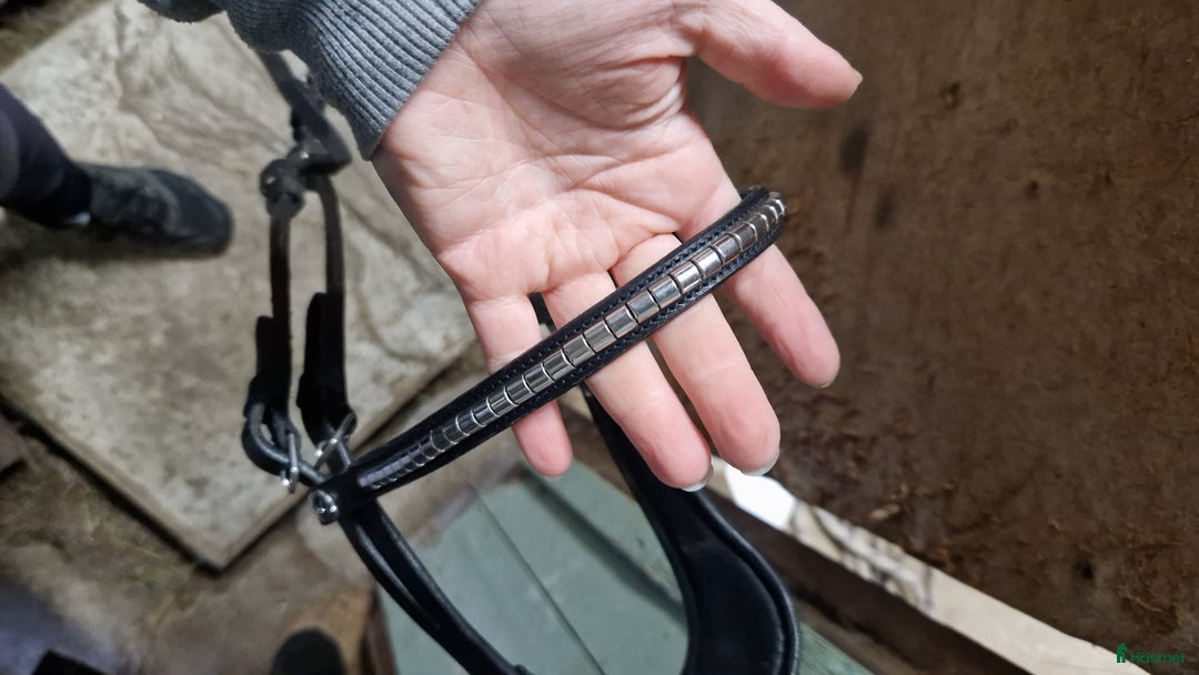 Träns hästutrustning till salu: Olika träns storlek cob i Umeå - Annons 3