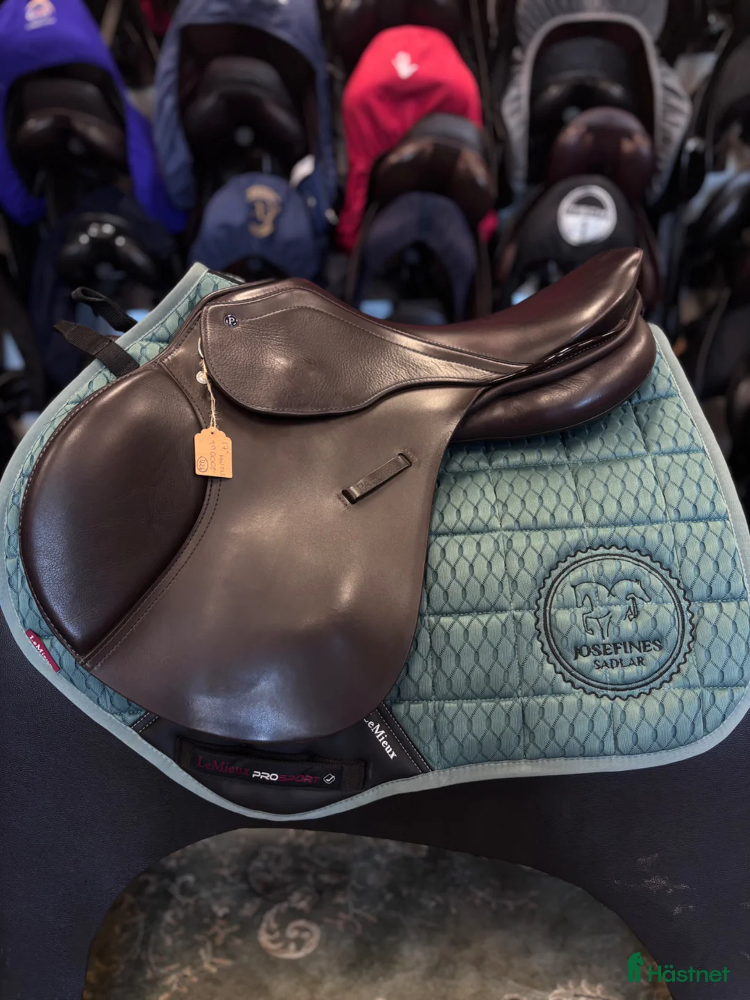 Sadlar hästutrustning till salu: Passier Motion  - Annons 1