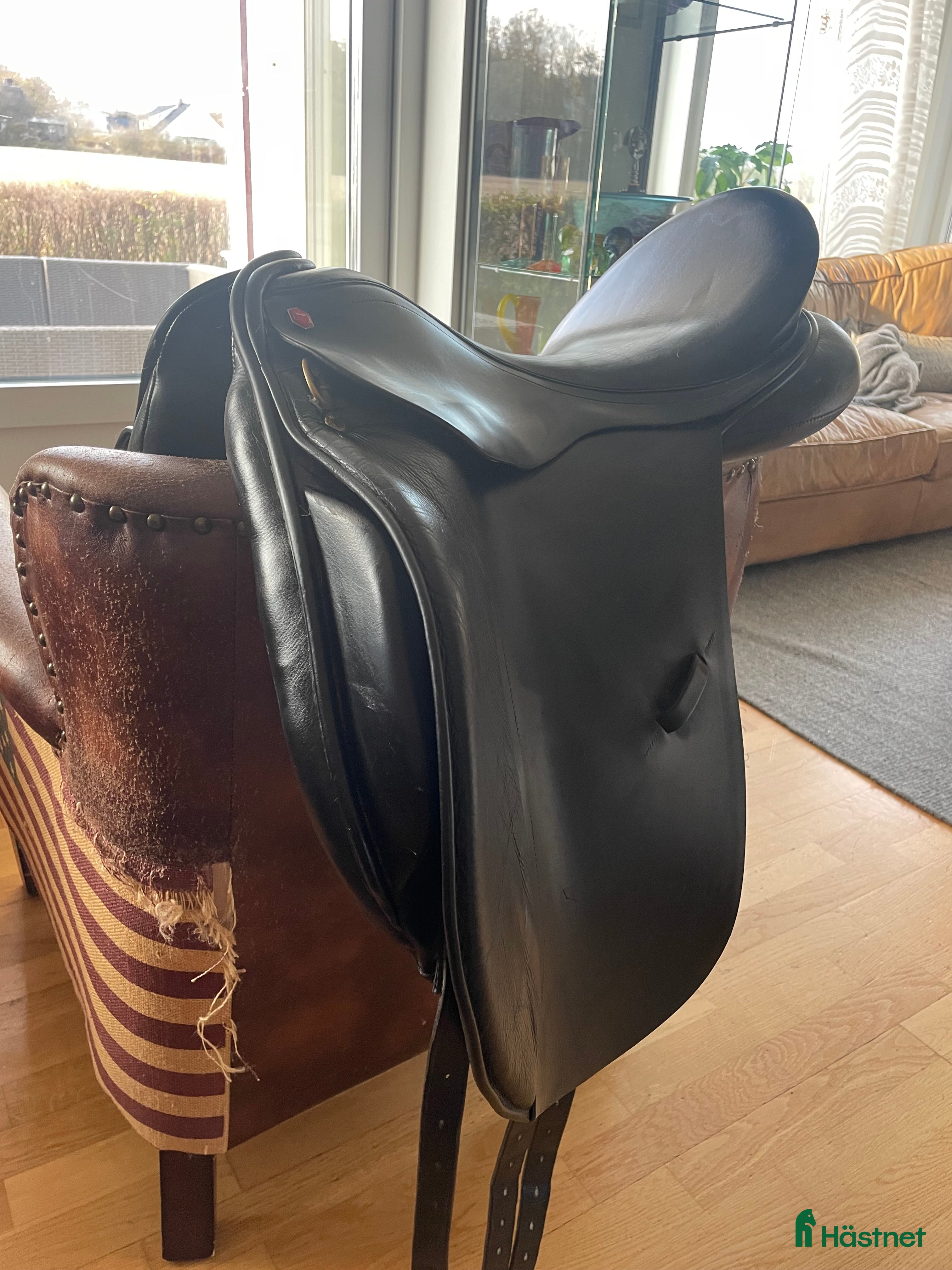 Sadlar hästutrustning Dressyrsadel Albion Legend K2 - Annons 2