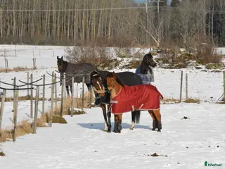 stallplats Stallplats i Upplands Väsby - Annons 17