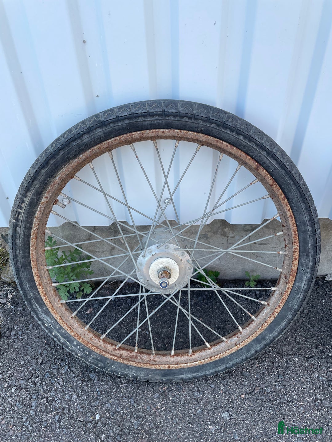 Travvagnar trav till salu: Speedcart i Töcksfors - Bild 12