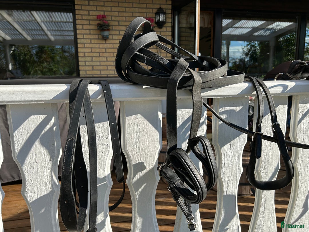 Körselar körning till salu: Komplett travsele i Karlstad - Annons 3