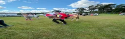 Hoppning hästar sökes: SÖKER HÄST!! - Annons 5