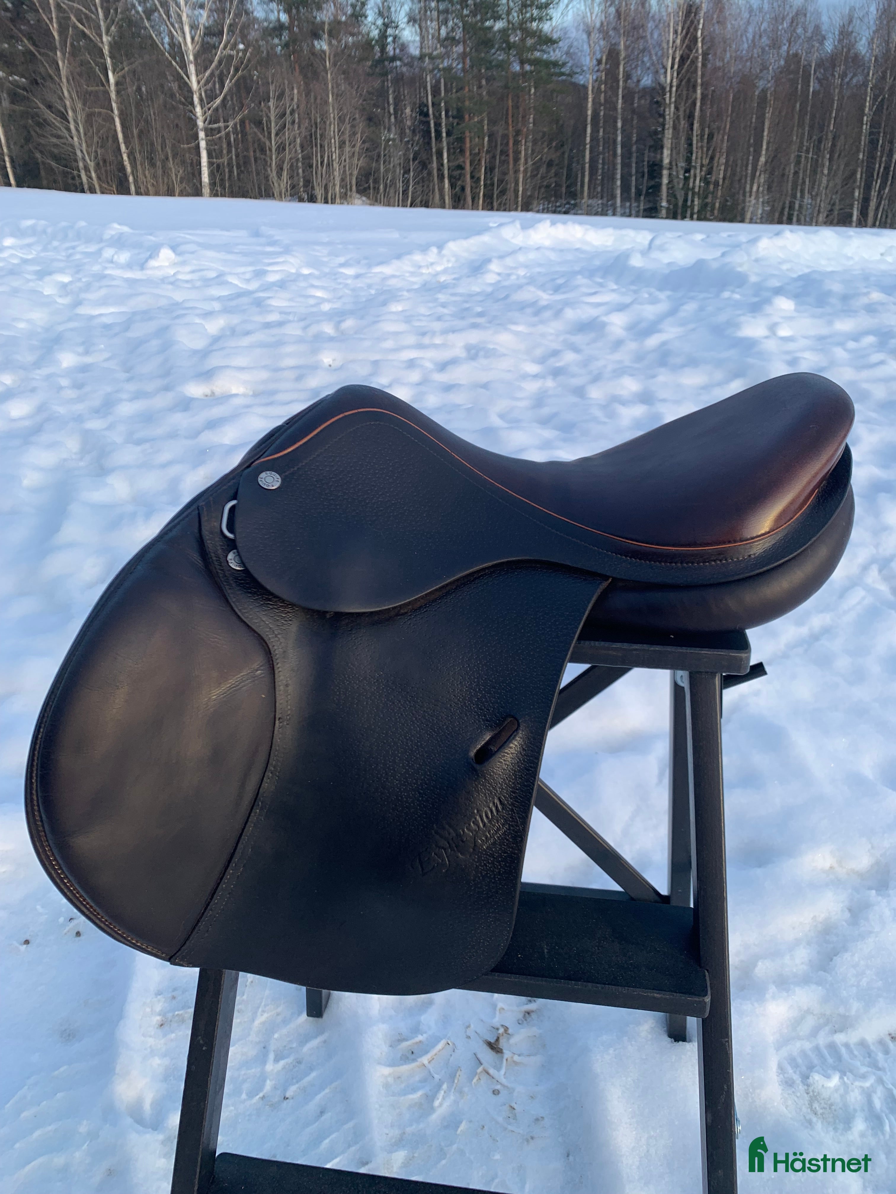 Sadlar hästutrustning Equipe Expression 15,5 tum i Falun - Annons 16