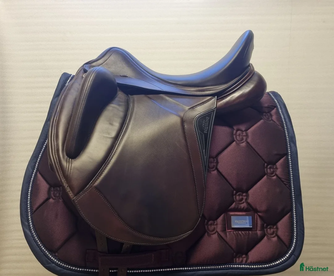 Sadlar hästutrustning till salu: Alissum i nyskick i Helsingborg - Annons 1