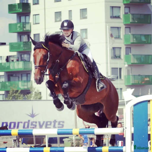 Galleribild {{count}}