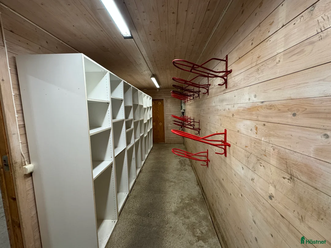  stallplats finnes: Lediga stallplatser i Ekerö - Annons 5