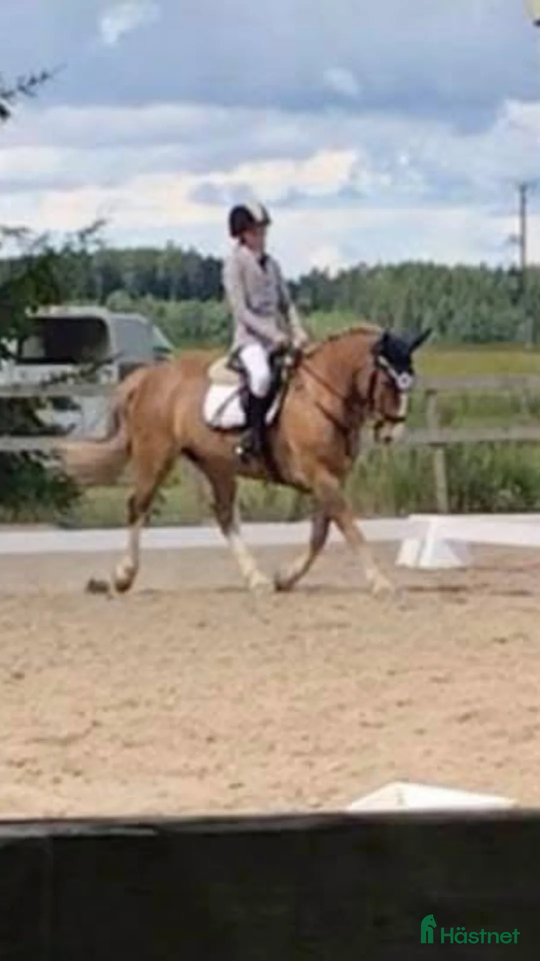  hästservice finnes: Inridning / tillridning / tävling  i Stigtomta - Annons 1