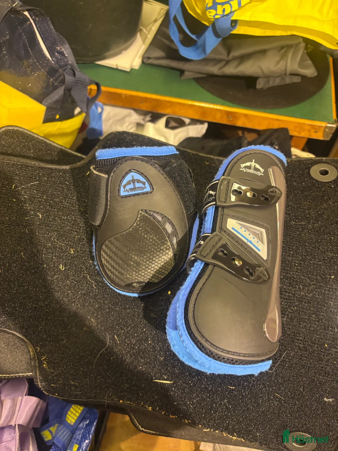 Benskydd hästutrustning till salu: Veredus  - Annons 1