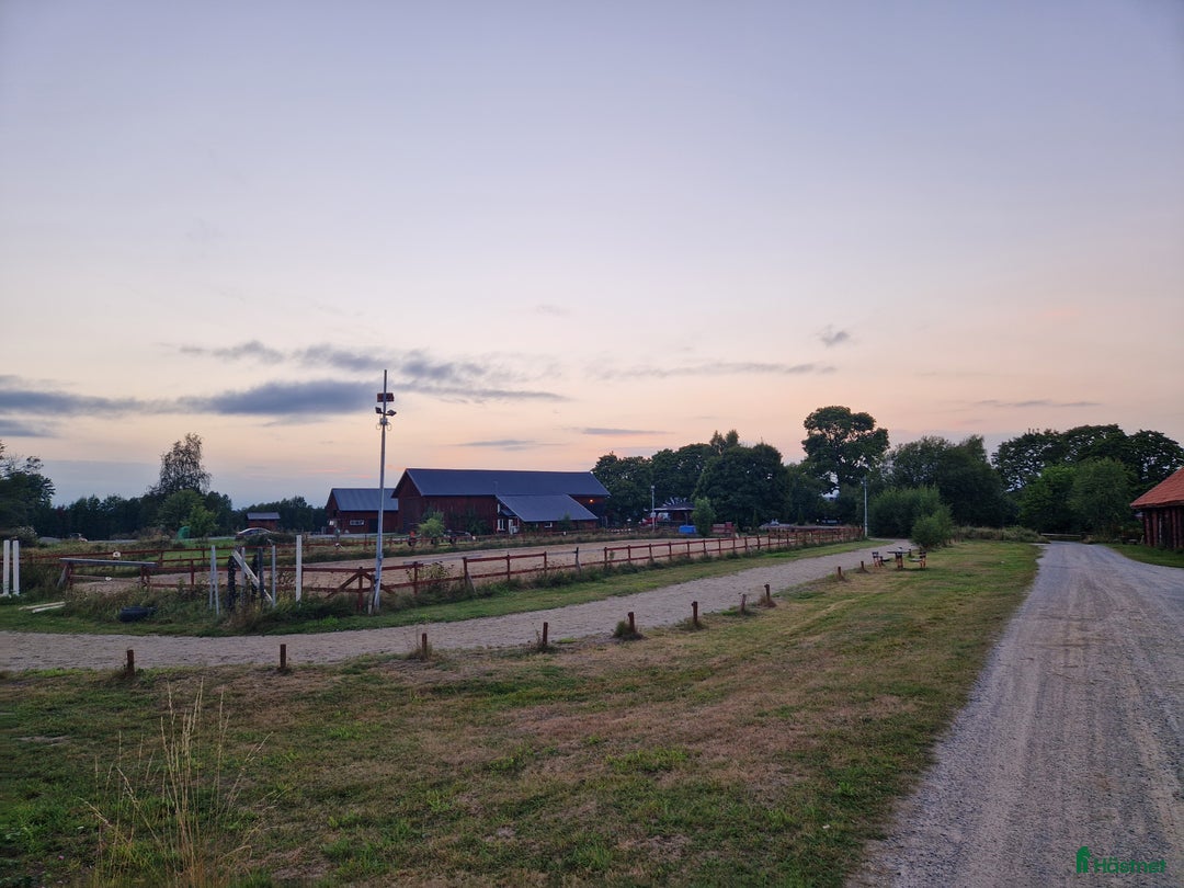  stallplats finnes: Stall plats finnes i Grödinge i Grödinge - Annons 4