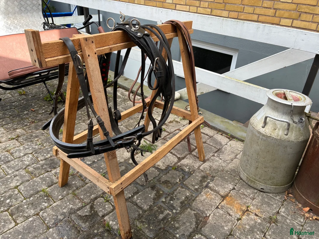 Körvagnar körning till salu: Gig för a-ponny  i Kalmar - Annons 5