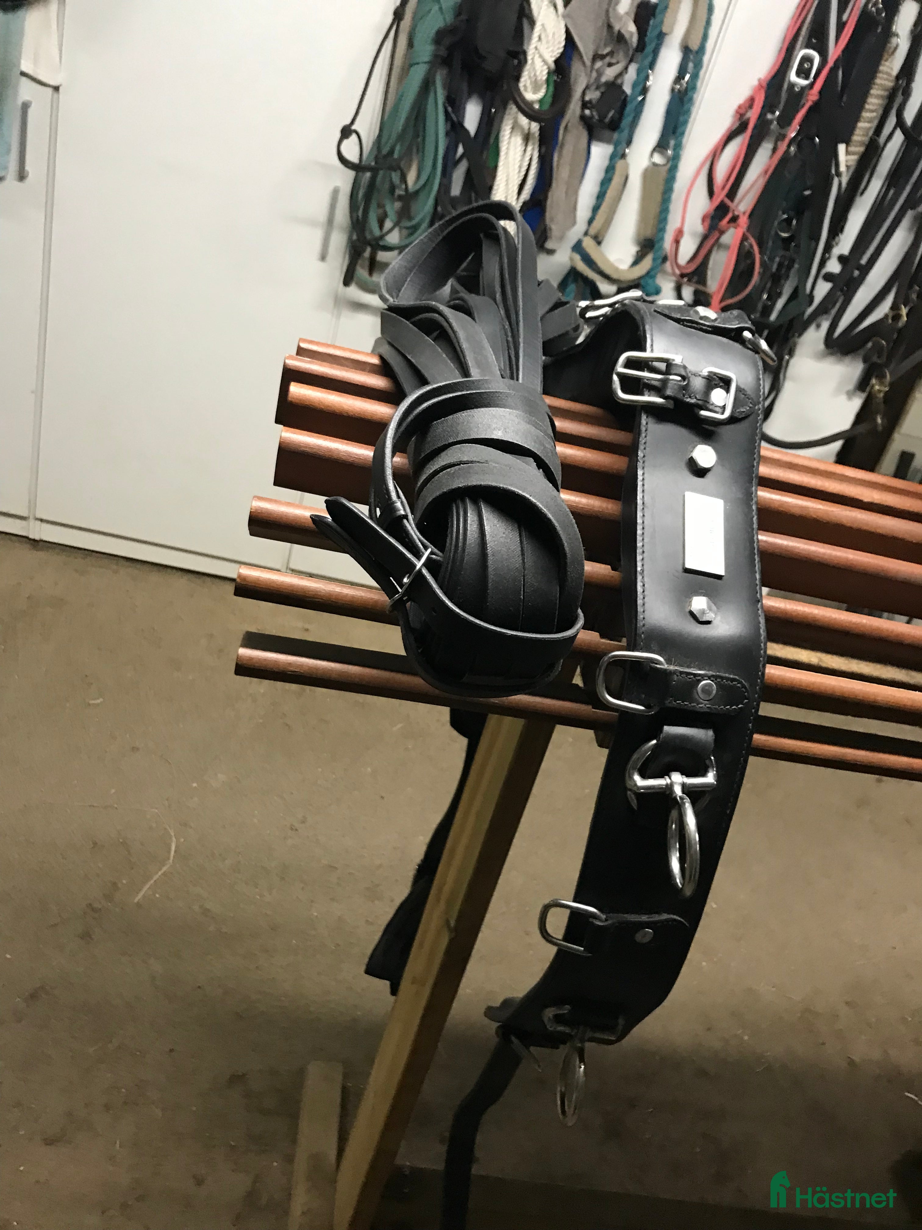 Övrig Hästutrustning hästutrustning Tömkörningsgjord med tömmar  - Annons 22