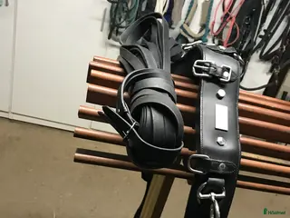 Övrig Hästutrustning hästutrustning Tömkörningsgjord med tömmar - Annons 22