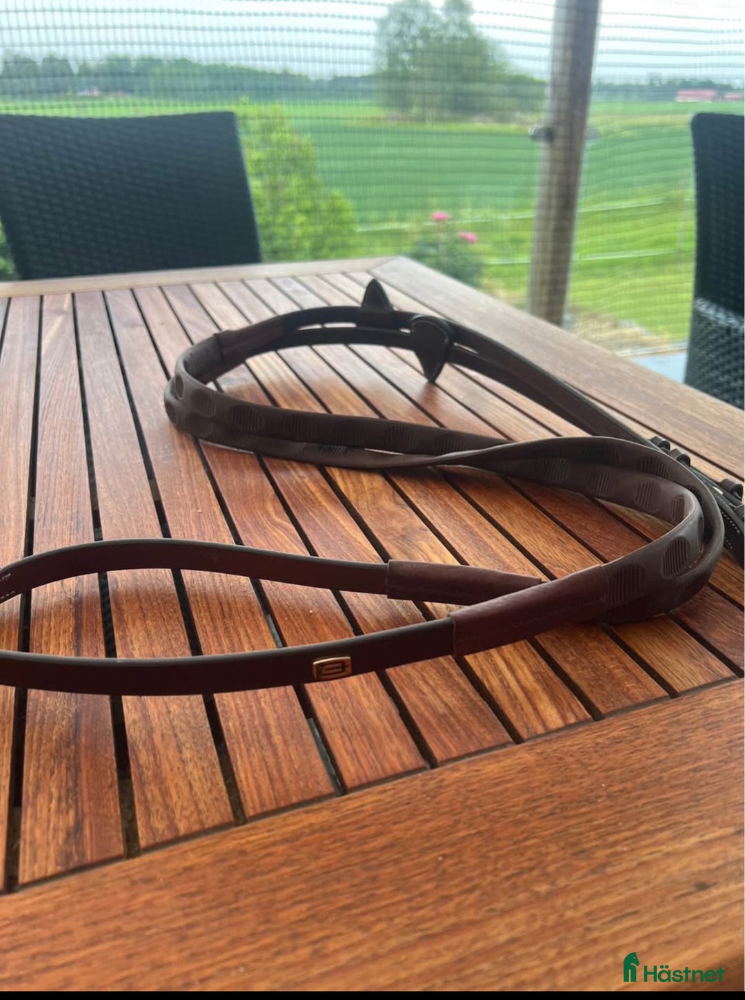 Träns hästutrustning till salu: Tyglar i Kolbäck - Annons 1