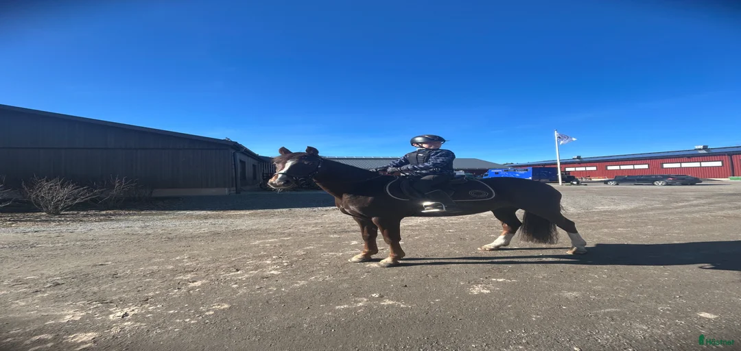 Galleribild {{count}}