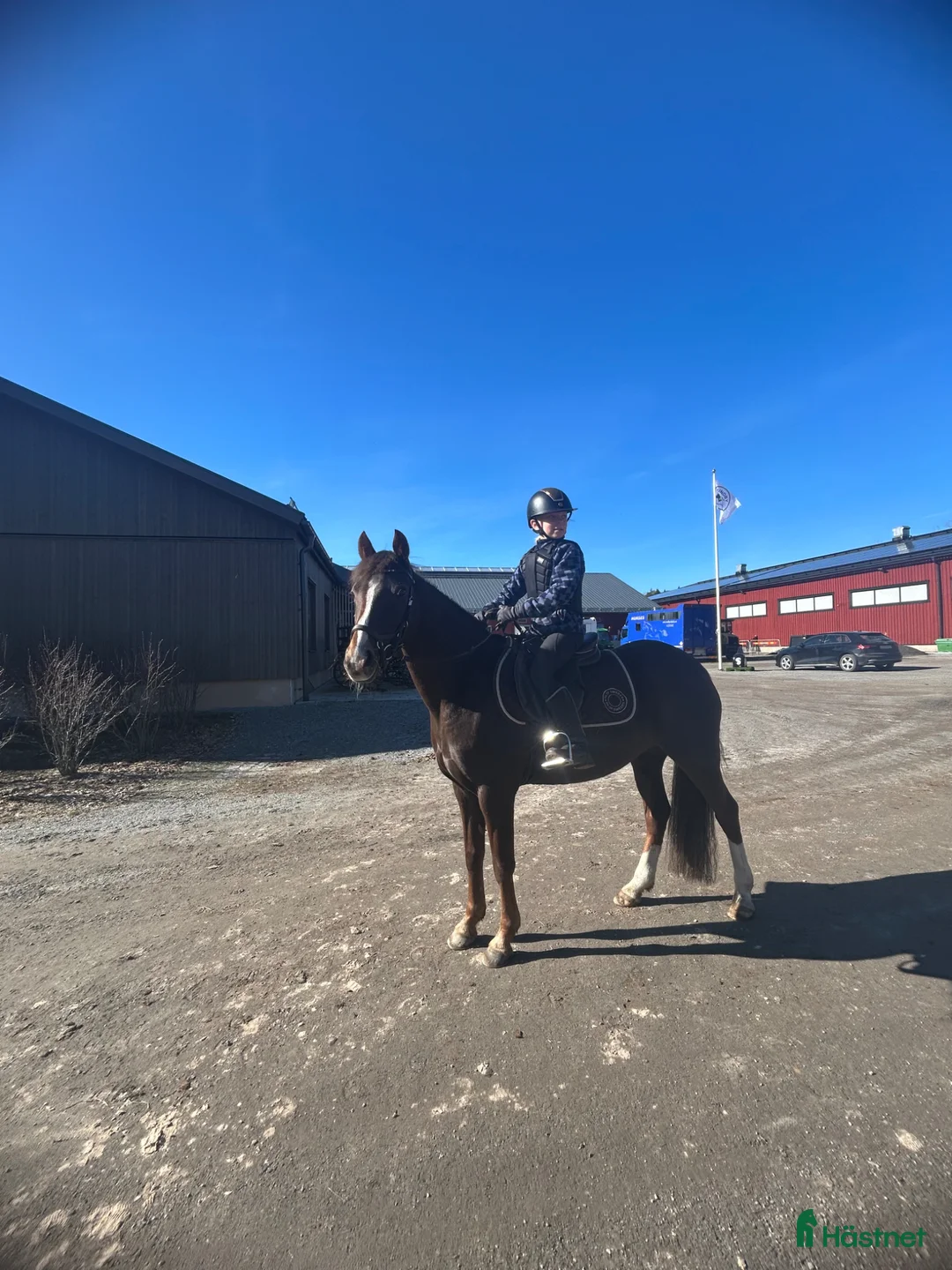 Galleribild {{count}}