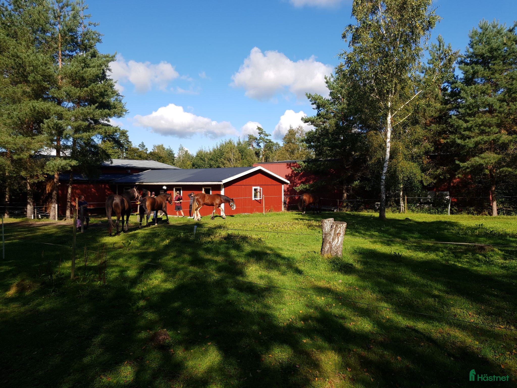  stallplats Stall med 5 boxar, hagar, paddock uthyres - Annons 9