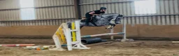 Allround hästar till salu: Gorgeous 158cm gelding  - Annons 14