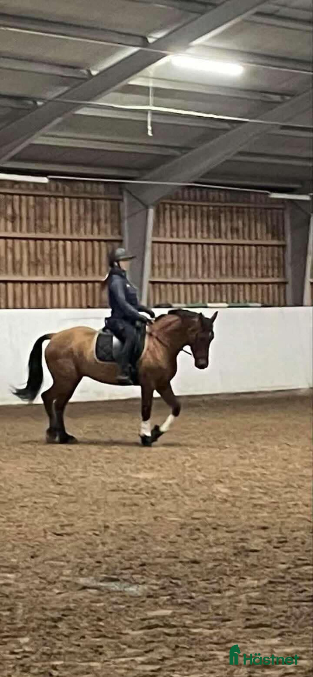 Hoppning hästar till salu: Supersnäll D-ponny i Kungsängen - Annons 3