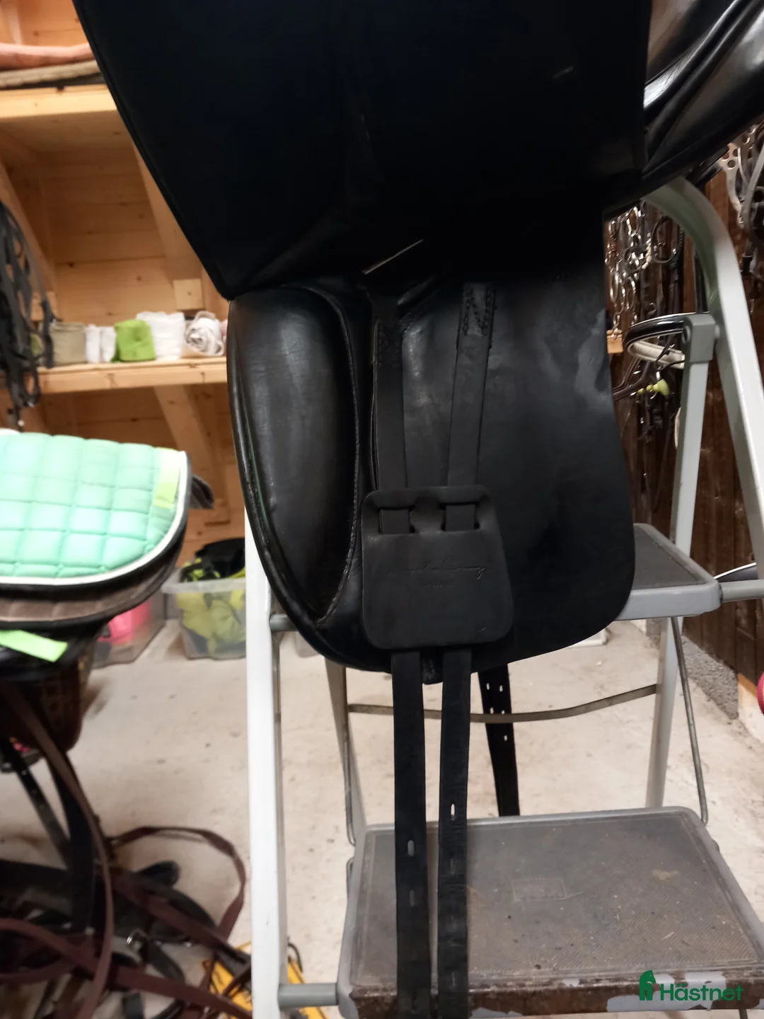 Sadlar hästutrustning till salu: Välvårdad Santa Cruz Arthur - Annons 5