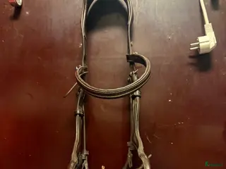 Träns hästutrustning Ps träns - Annons 1