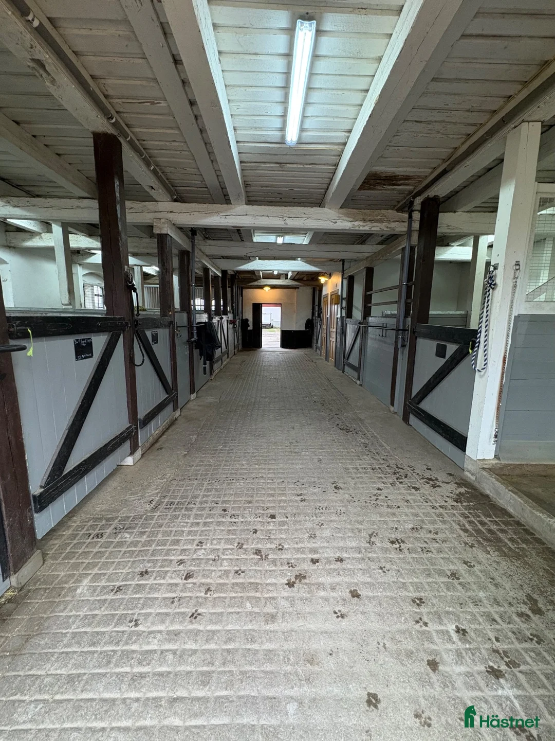  stallplats finnes: Stallplats finnes 15 minuter från Nyköping  - Annons 2