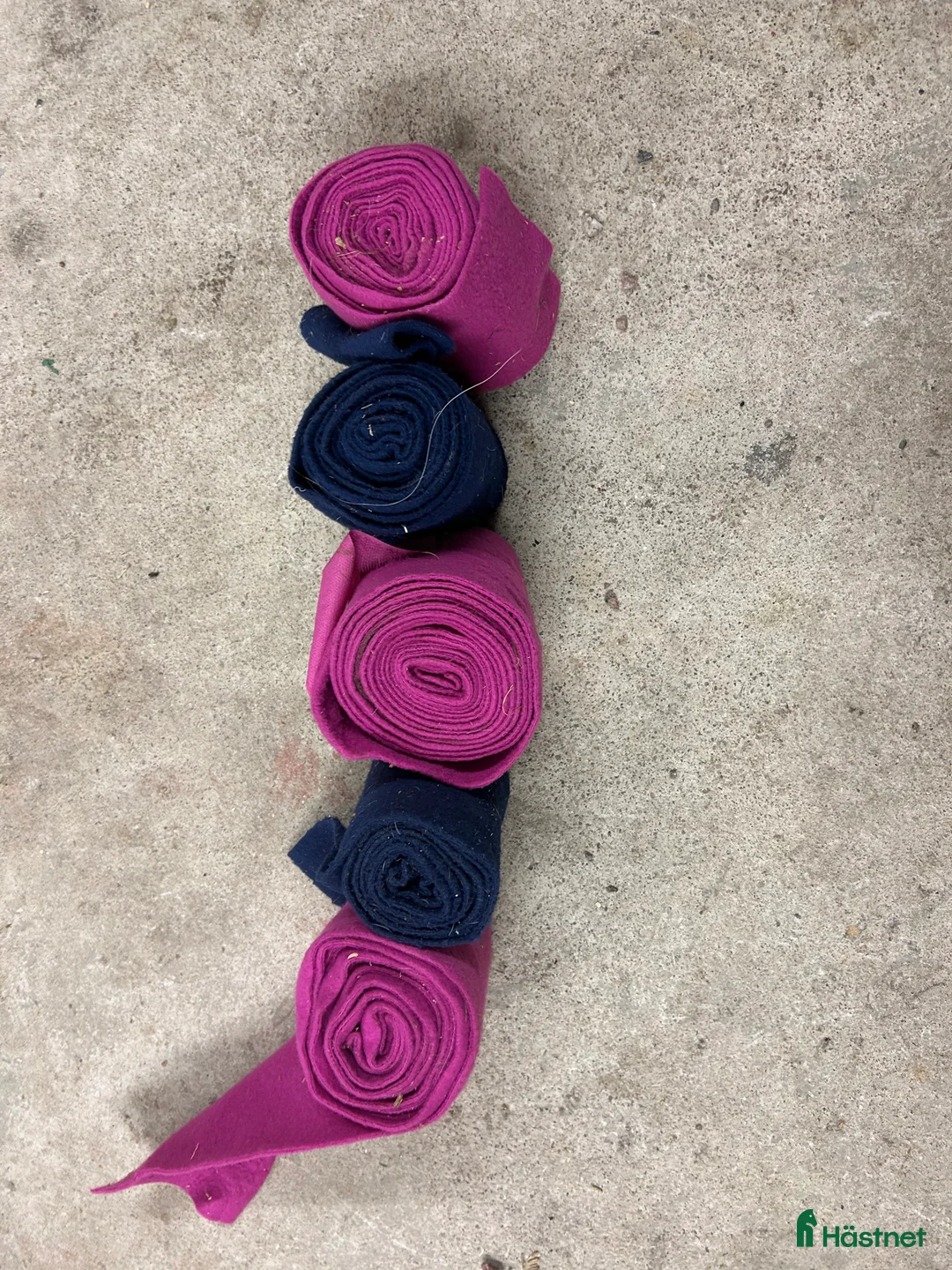 Övrig Hästutrustning hästutrustning till salu: Blandad utrustning? i Gävle - Annons 10