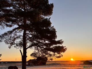 stallplats Lösdrift med fullservice för unghästar i Bålsta - Annons 17