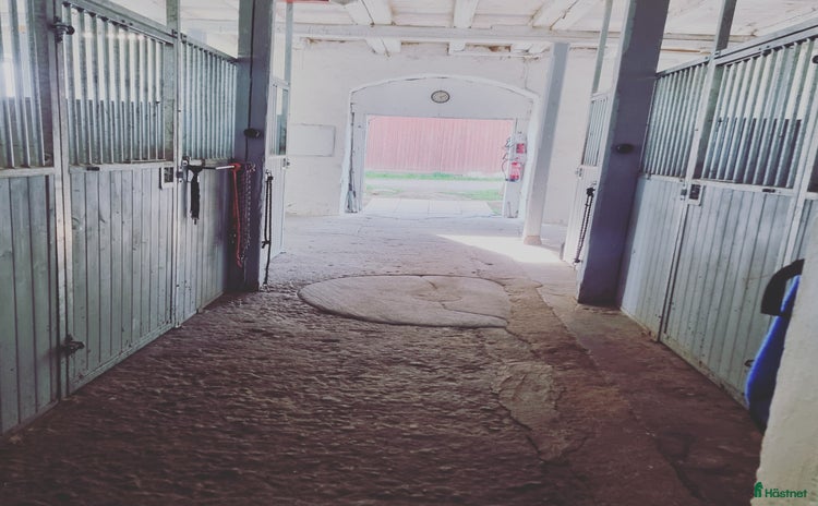 Stallinredning, stängsel & gård övrig utrustning till salu i Norrtälje - Annons 12