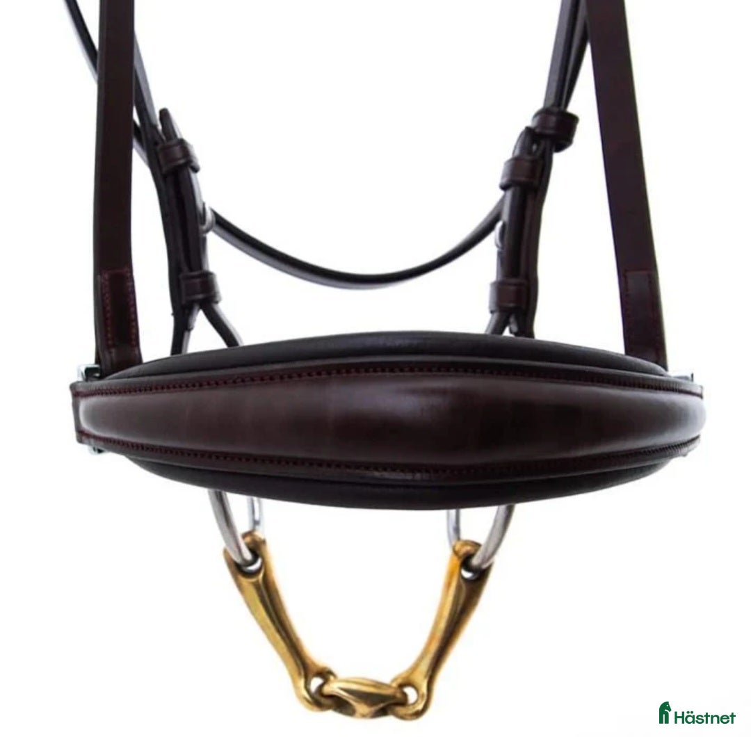 Träns hästutrustning till salu: Alequi remont  i Svartsjö - Annons 2