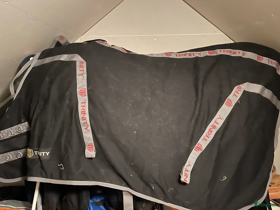 Täcken hästutrustning till salu: Stalltäcke Trinity - Annons 1