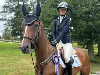 hästar Trevlig nybliven 5åring i Sävsjö - Annons 18