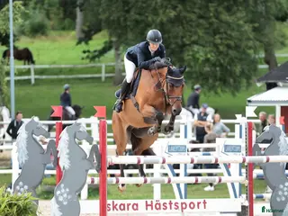 hästjobb Hästskötare - Annons 1