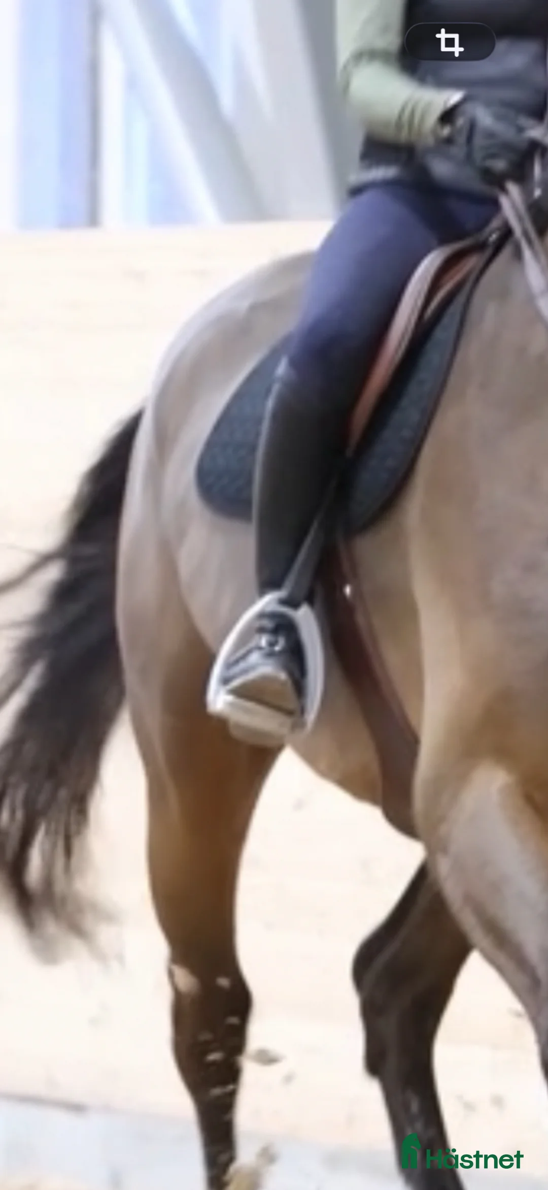 Stigbyglar hästutrustning till salu: Tech stigbyglar - Annons 2