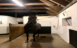  stallplats finnes: Boxplatser lediga utanför Vellinge🙂 i Vellinge - Bild 8