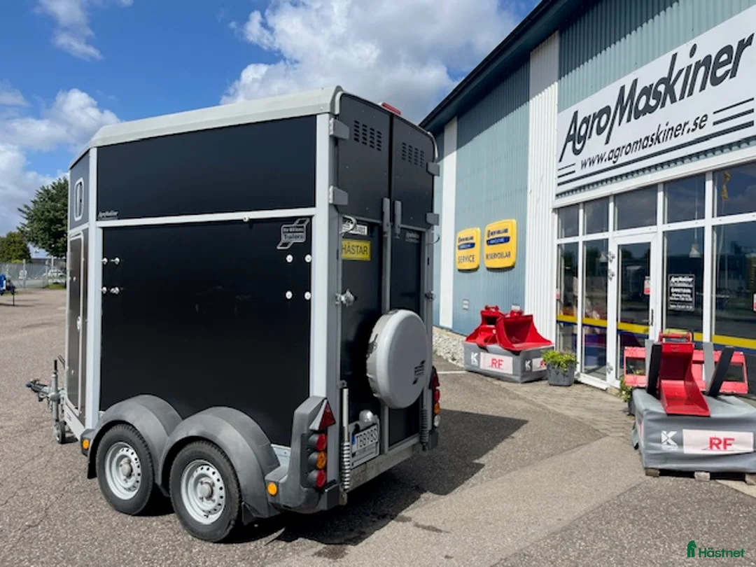 Hästtransporter  fordon & transport till salu: Ifor Williams HB403 Enhästars transport i Svedala - Annons 8