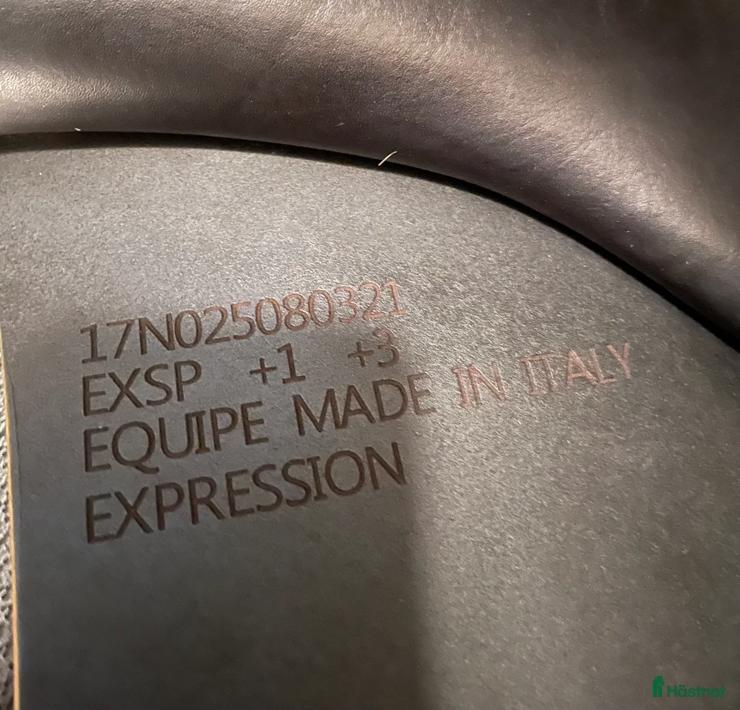 Sadlar hästutrustning till salu: Equipe expression special i Vetlanda - Annons 8