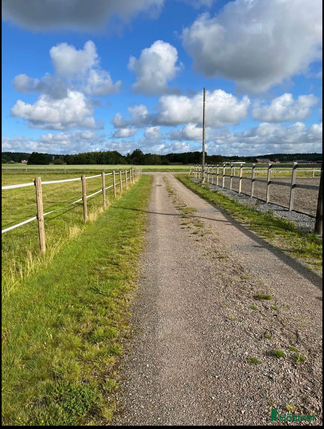  stallplats finnes: Stallplats Åsa i Frillesås - Annons 3