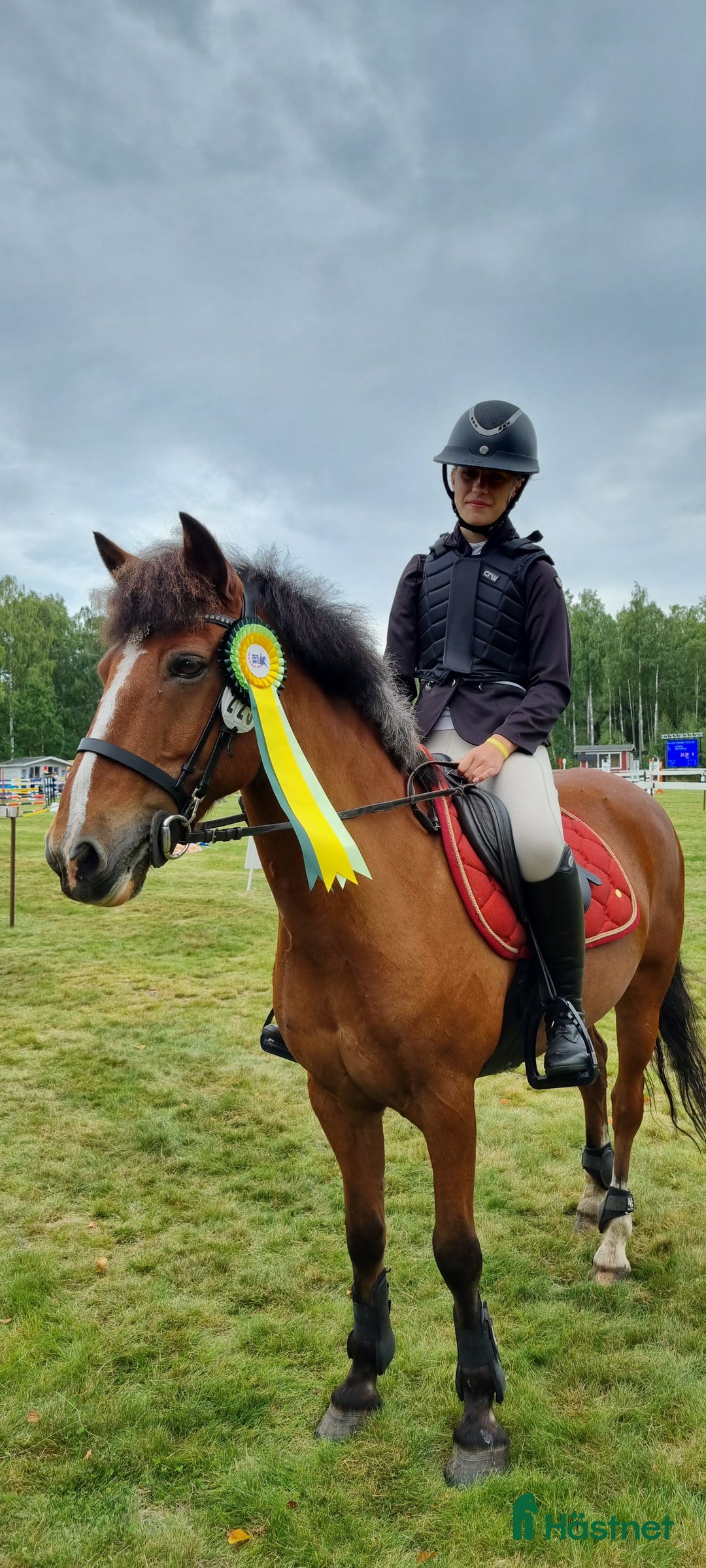 Hoppning hästar till salu: Läromästare hoppning och bästis i Ljungbyholm - Annons 2