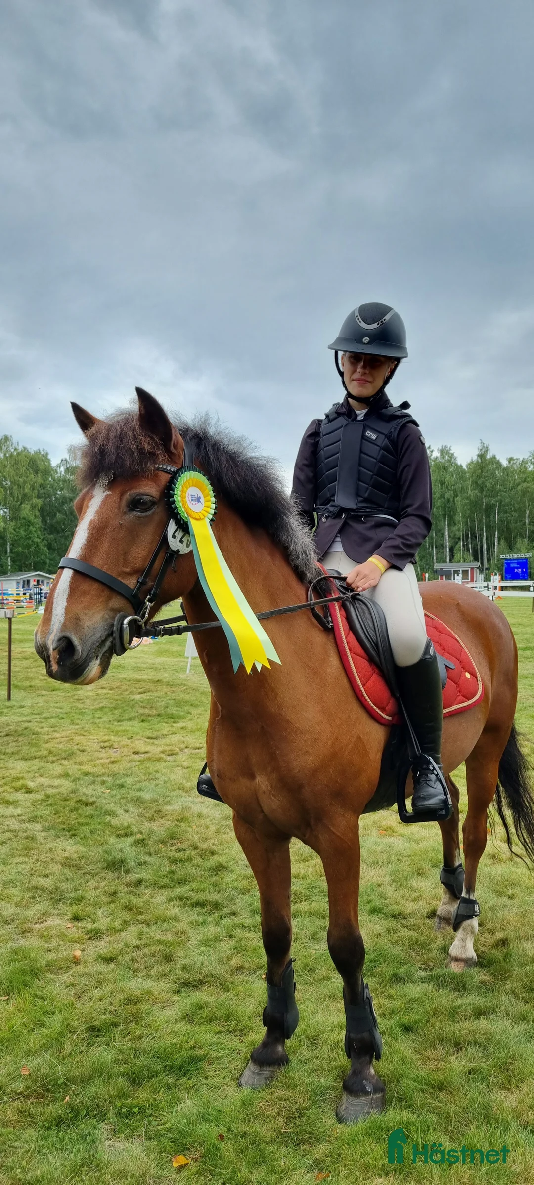 Hoppning hästar till salu: Läromästare hoppning och bästis - Annons 2