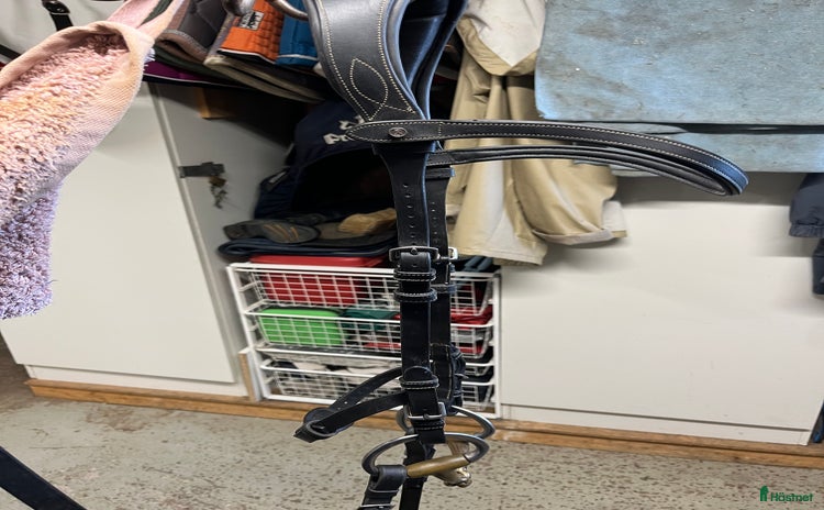 Träns hästutrustning till salu i Växjö - Annons 16