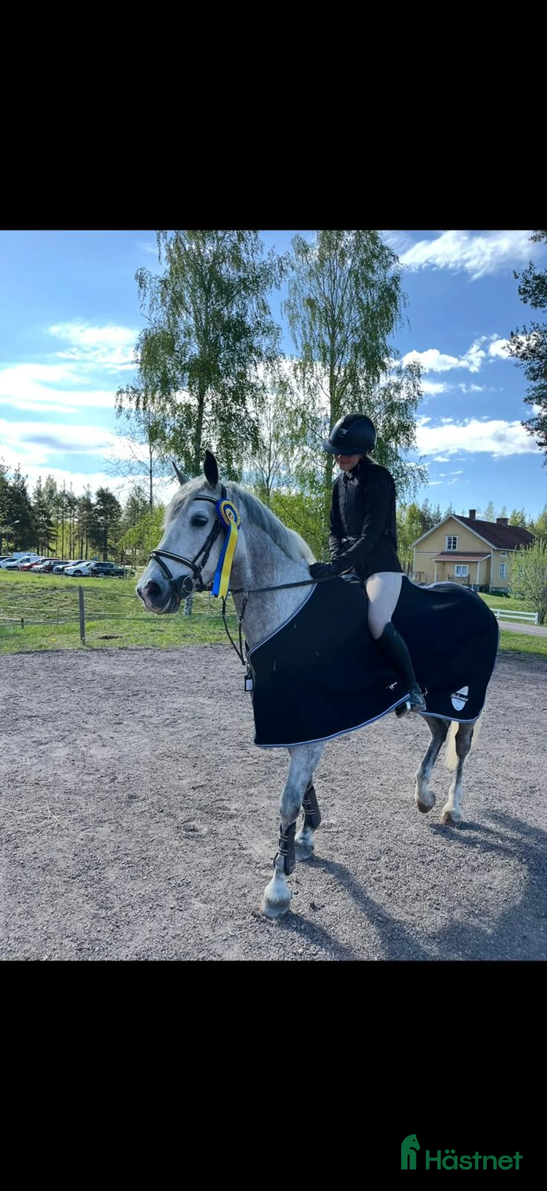 Hoppning hästar till salu: 🌟 Lilly – Tävlingsponny med LA + meriter  i Avesta - Annons 2