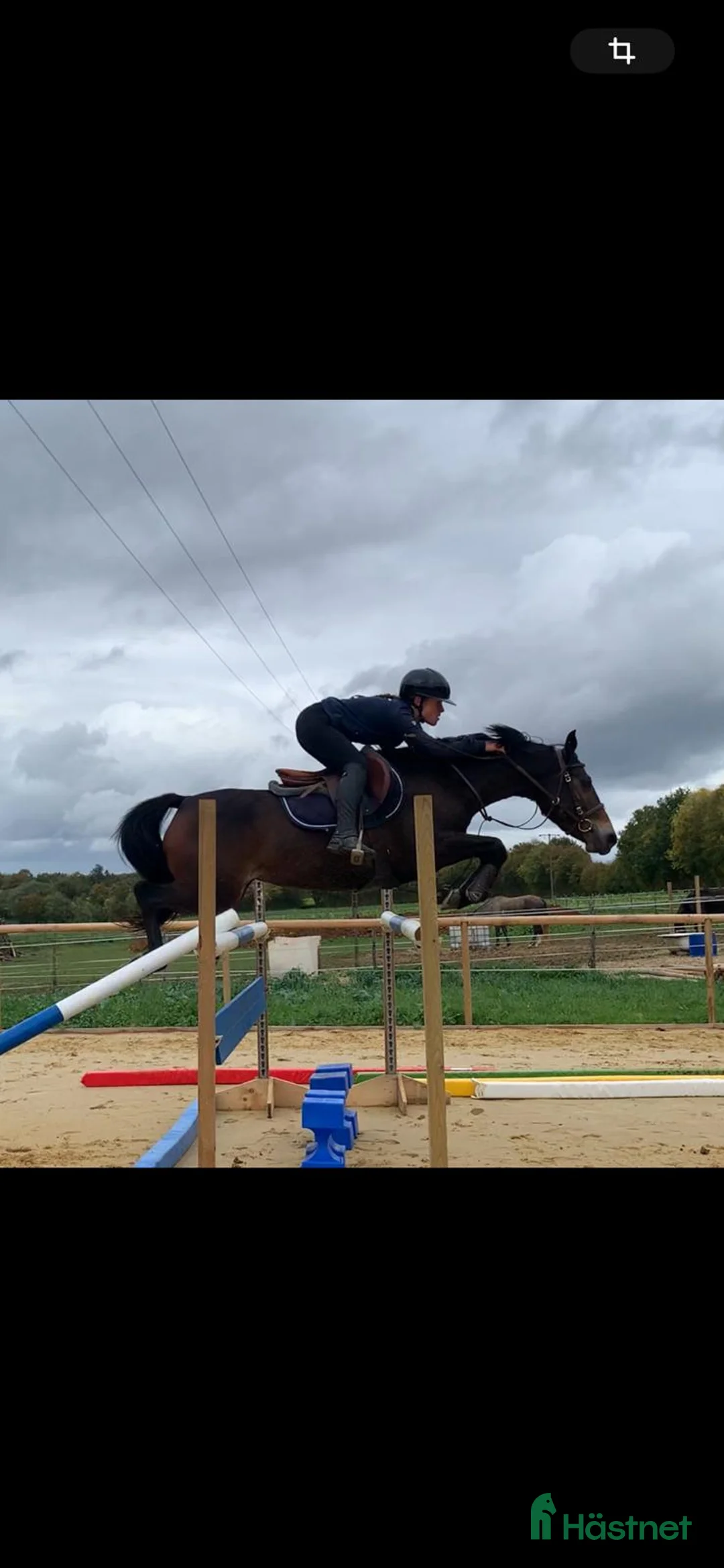 Hoppning hästar till salu: 148 7yr old Pony at Gateau Stables France  i Stockholm - Annons 7