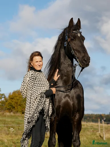 Galleribild {{count}}